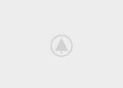 wood-gallery-placeholder-5